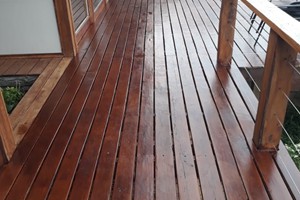 Aloha 14 March 2020 (2)