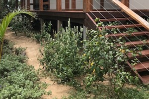 Aloha 14 March 2020 (20)