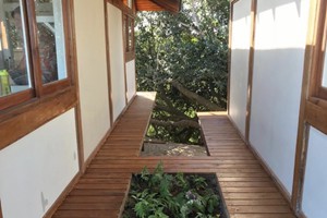 Aloha 14 March 2020 (25)