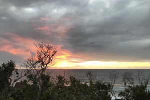 Aloha 14 March 2020 (31)